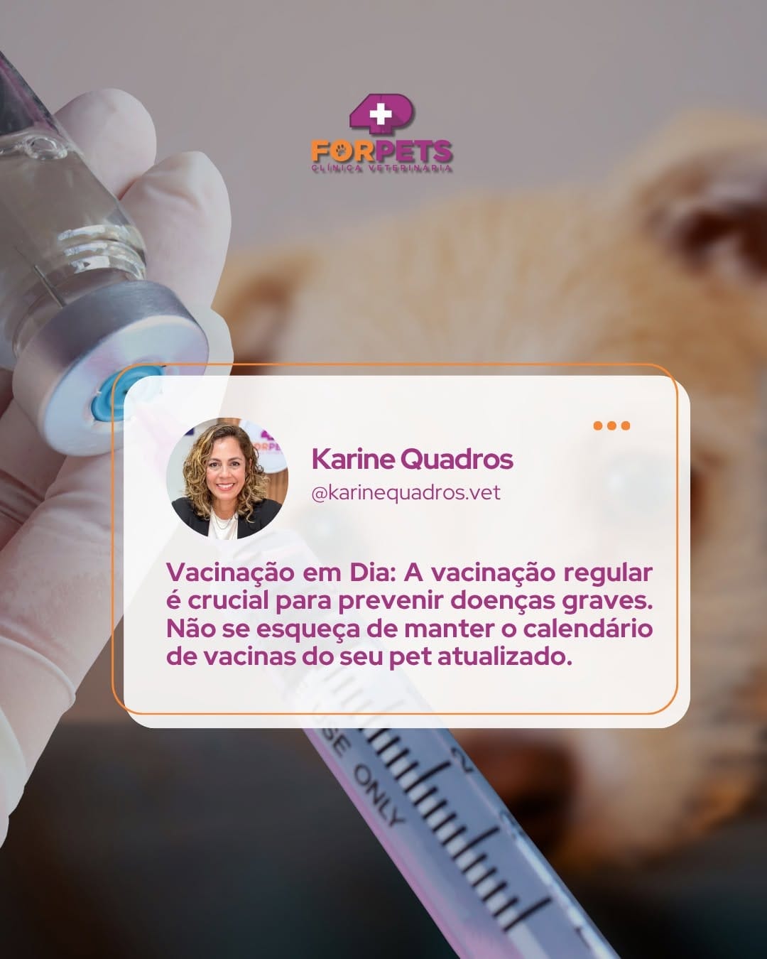 Post 1 by ForPets Clínica Veterinária on Instagram (image)