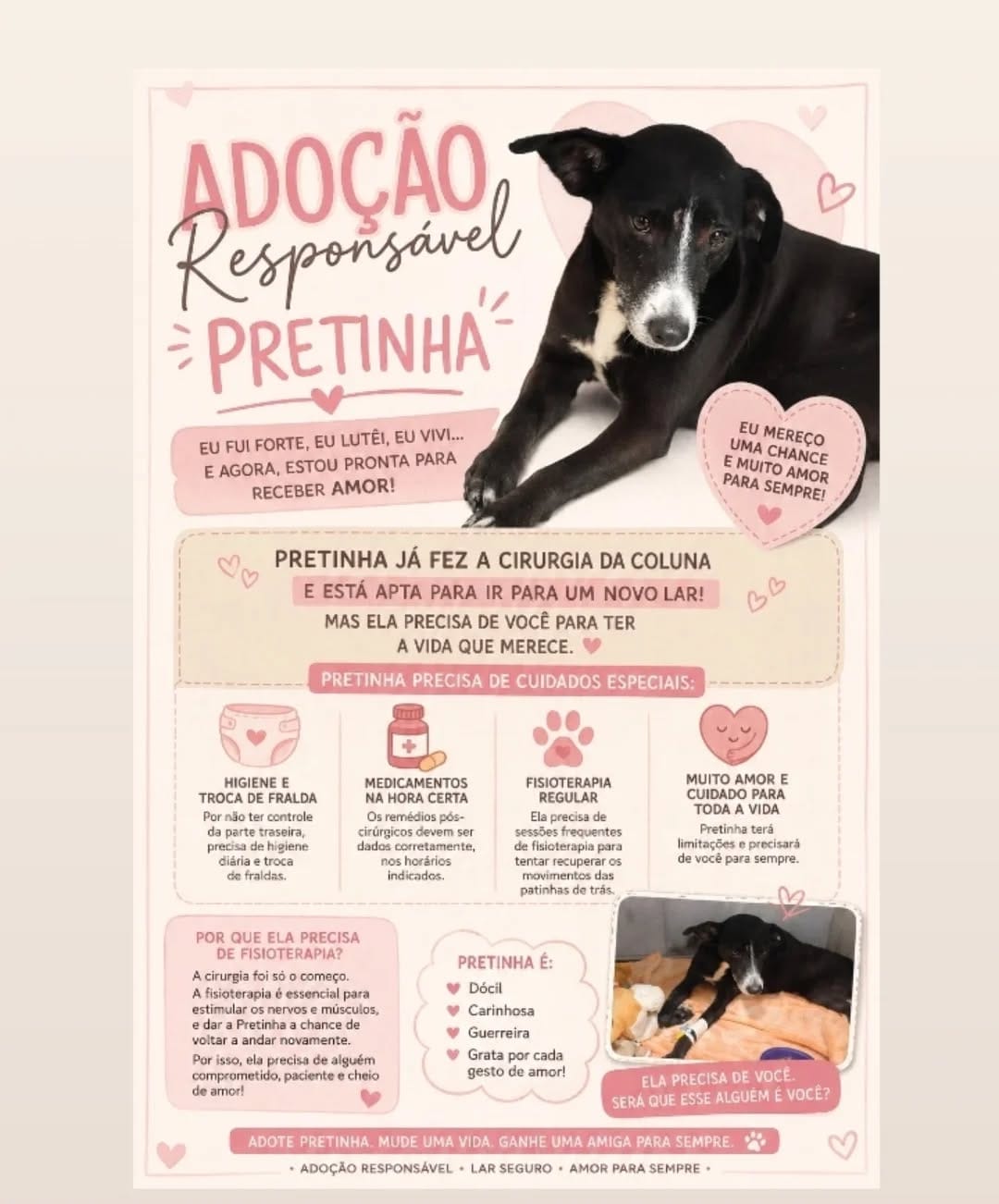 Post 5 by Adota João Pessoa on Instagram (carousel)