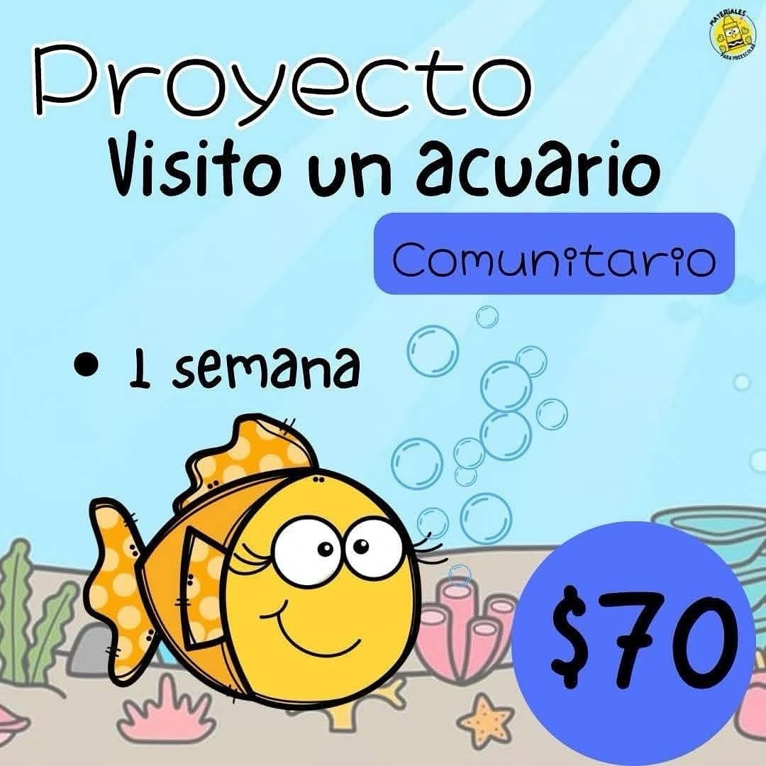 Post 7 by Materiales para preescolar 🖍️🧸 on Instagram (carousel)