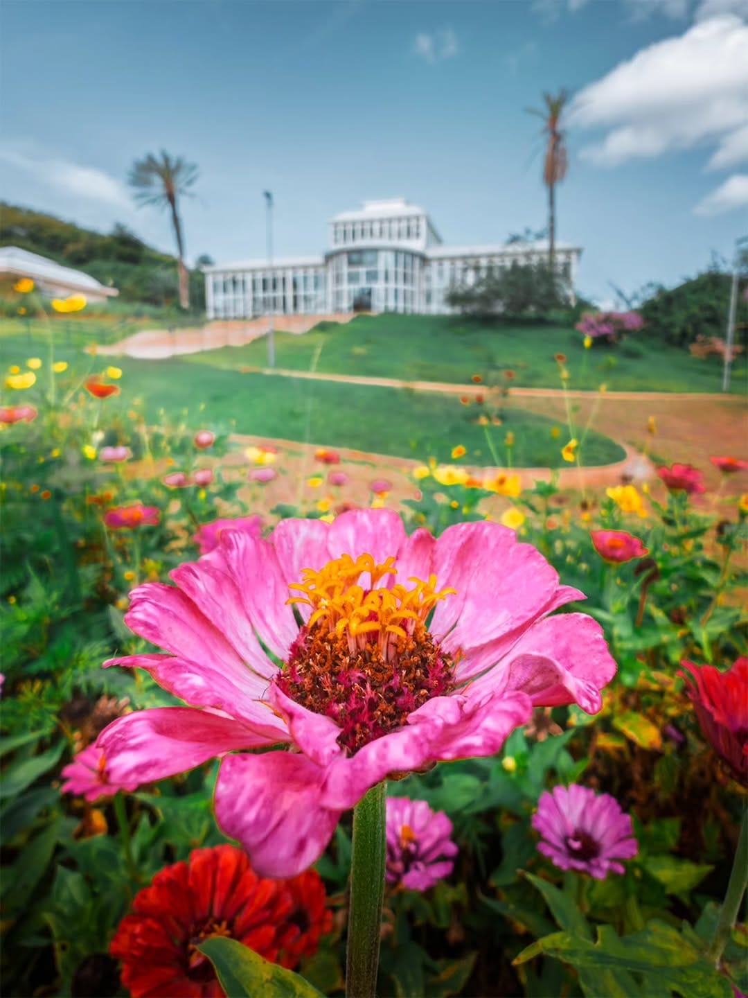 Post 6 by Edinei Matos on Instagram (carousel)
