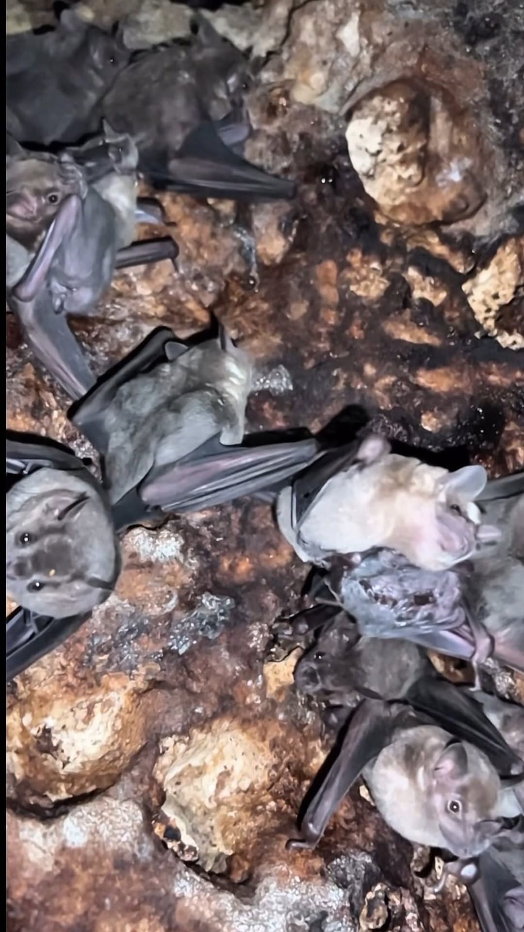 Post 6 by Universidad del Caribe on Instagram (video)