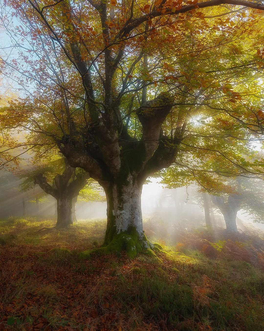 Post 10 by Hector Prada on Instagram (image)