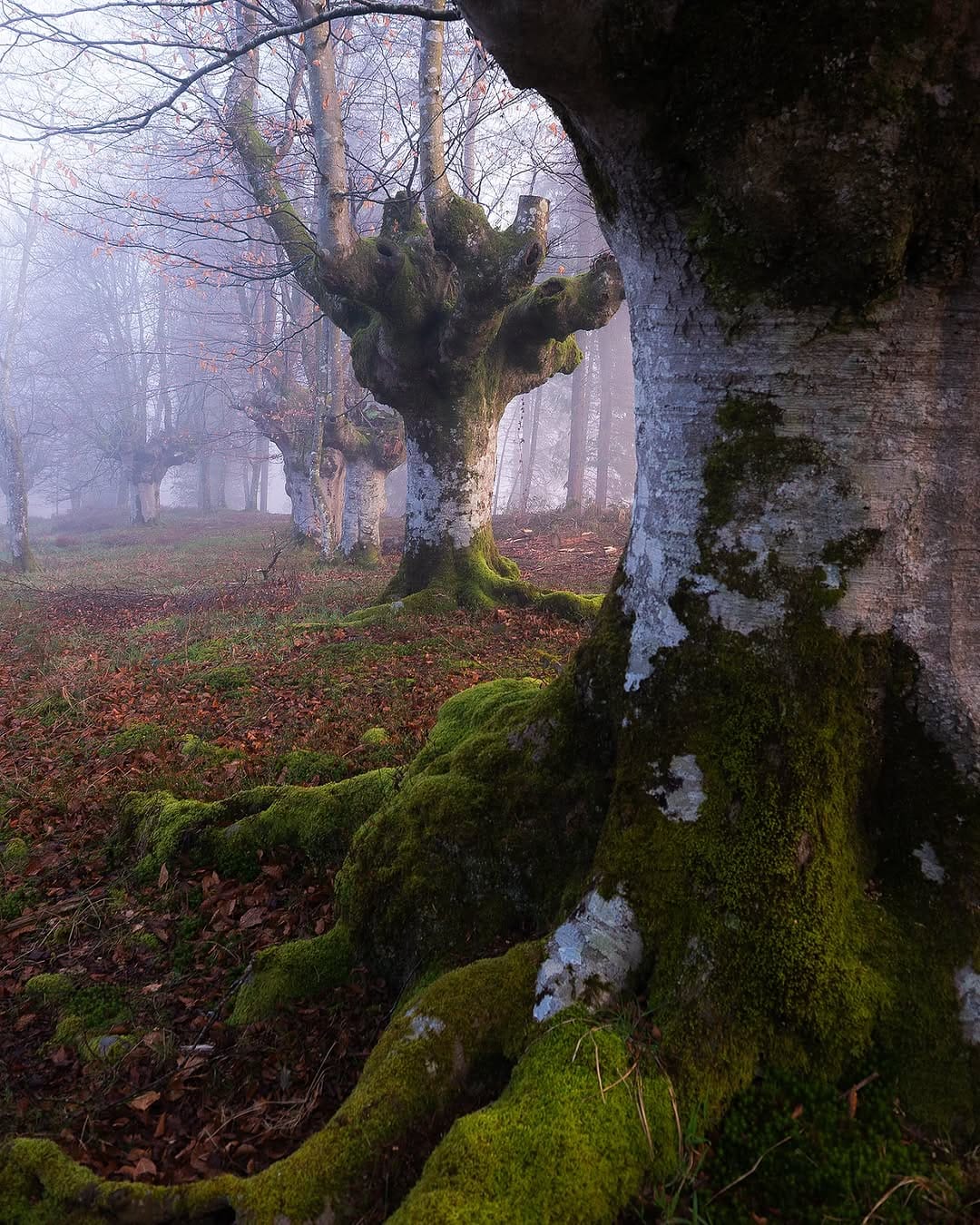 Post 2 by Hector Prada on Instagram (image)