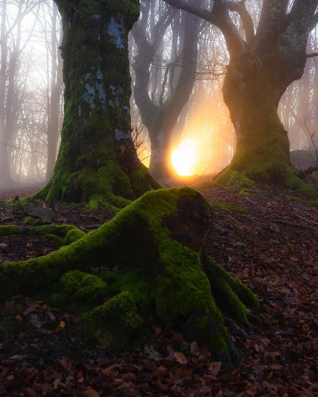 Post 4 by Hector Prada on Instagram (image)
