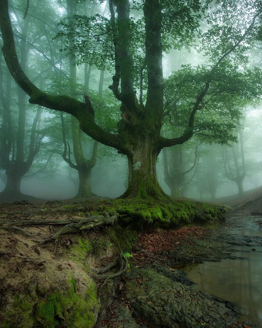 Post 8 by Hector Prada on Instagram (image)