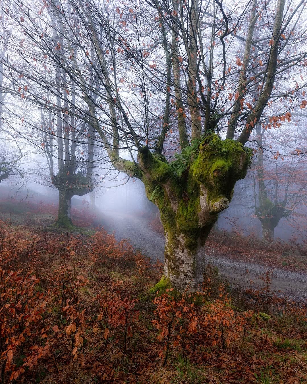 Post 1 by Hector Prada on Instagram (image)