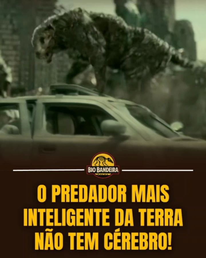 Post 2 by Bio bandeira on Instagram (carousel)