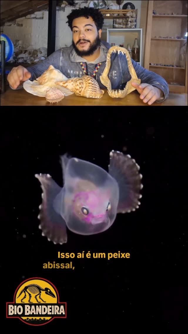 Post 7 by Bio bandeira on Instagram (video)