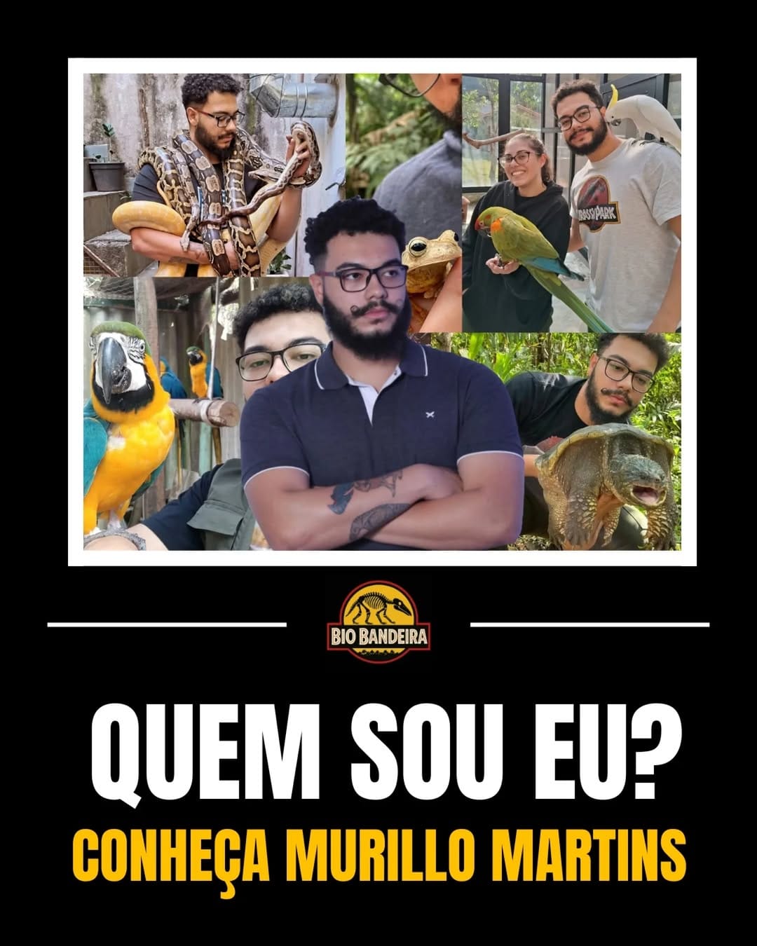 Post 10 by Bio bandeira on Instagram (carousel)