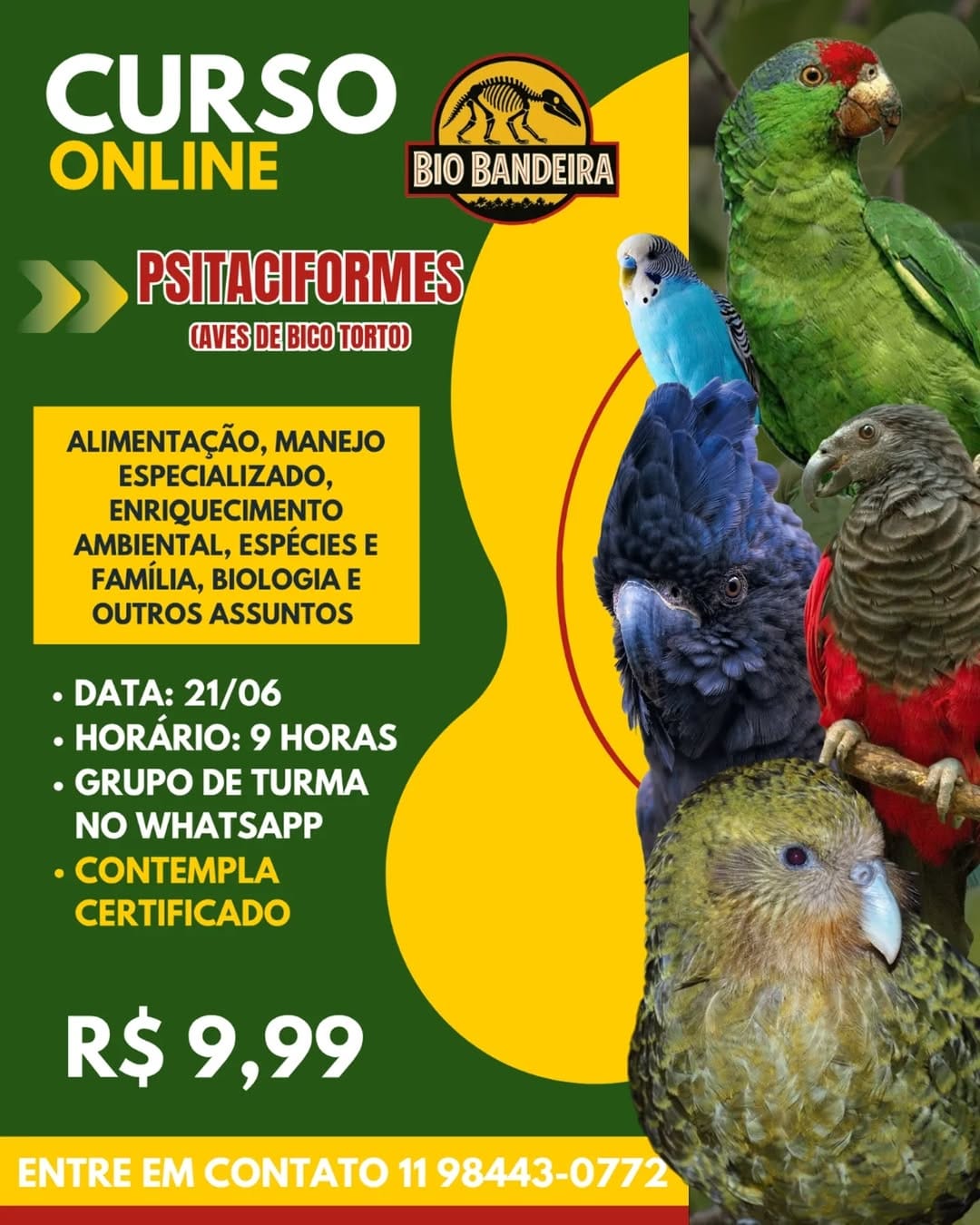 Post 9 by Bio bandeira on Instagram (image)