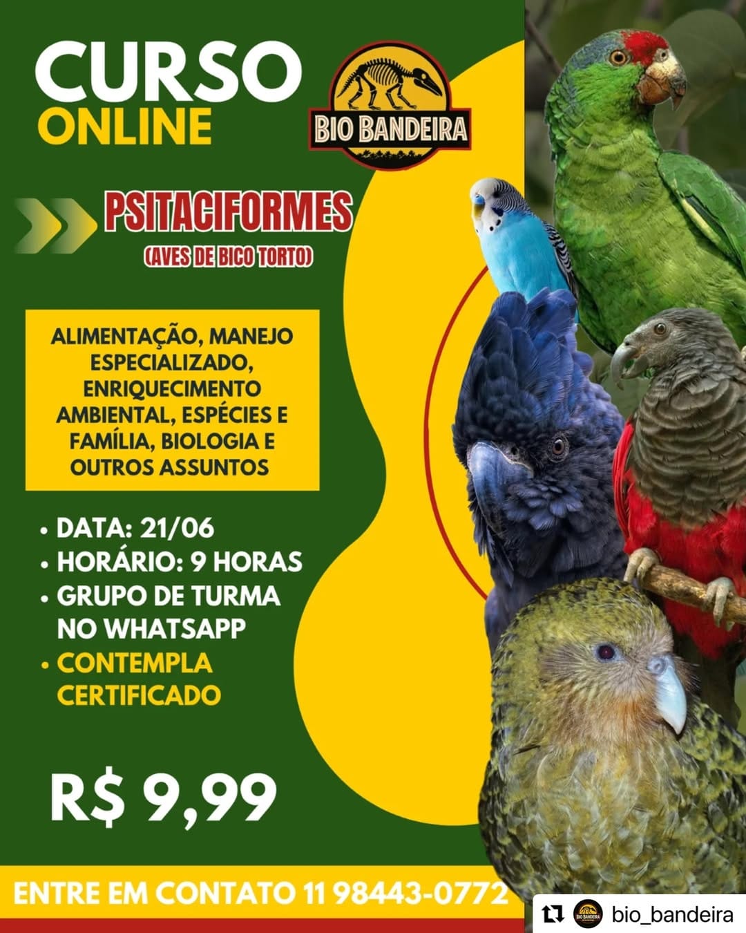 Post 6 by Bio bandeira on Instagram (image)