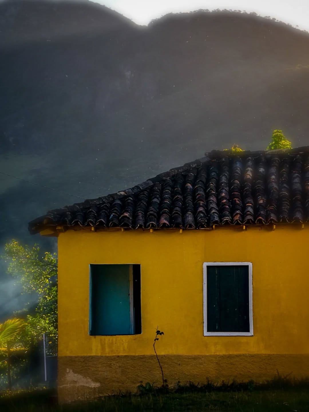 Post 5 by MARCELO VIANNA/FOTÓGRAFO on Instagram (image)