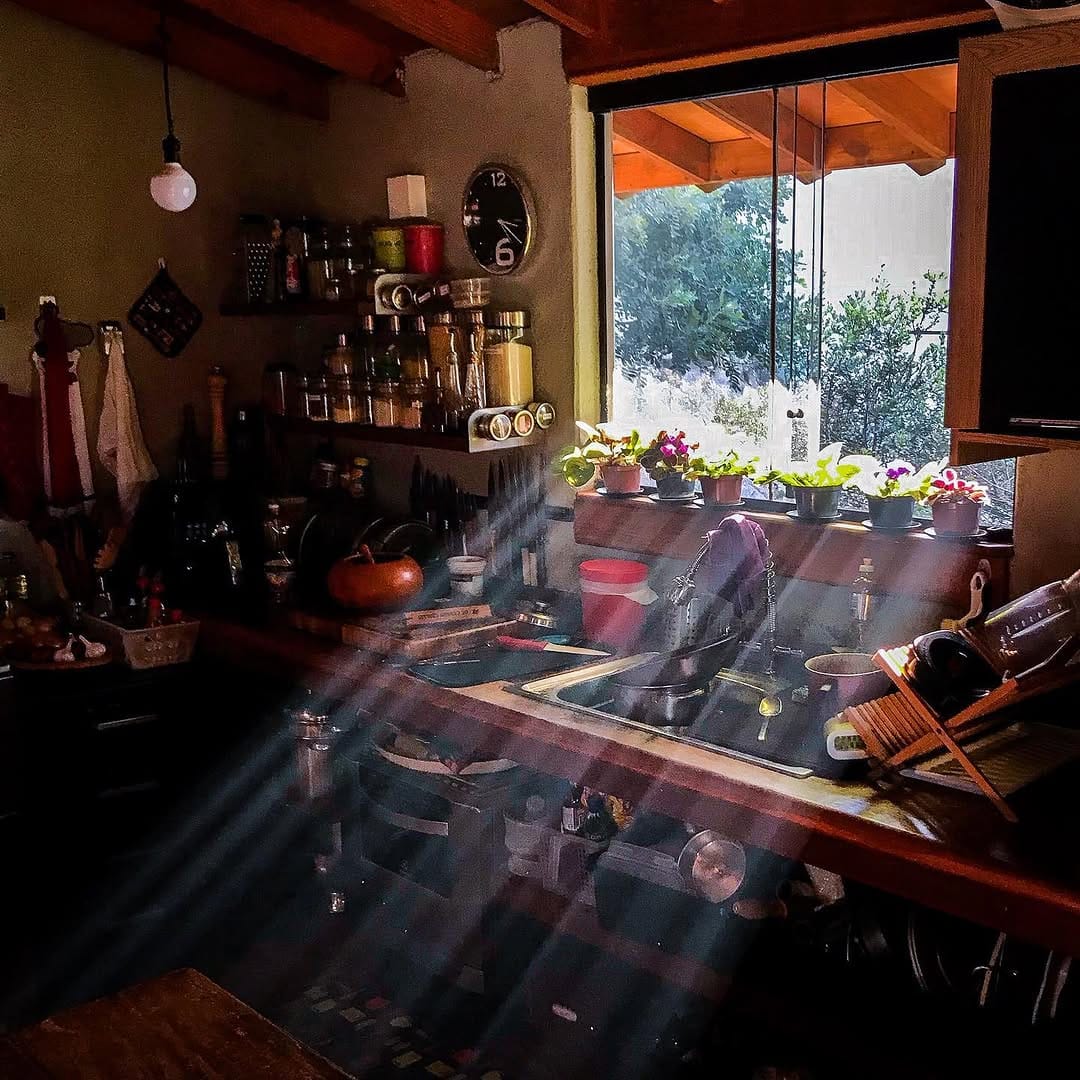 Post 10 by MARCELO VIANNA/FOTÓGRAFO on Instagram (image)