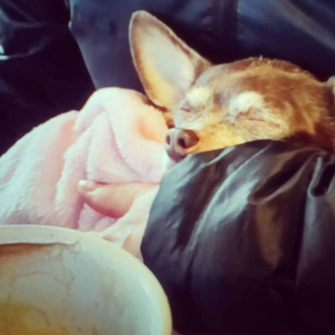 Post 7 by Roxana Tetanic on Instagram (carousel)