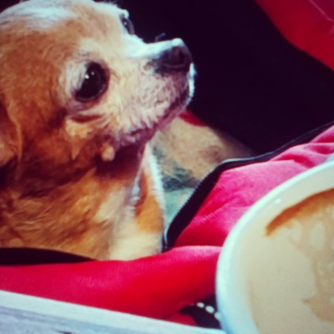 Post 2 by Roxana Tetanic on Instagram (image)