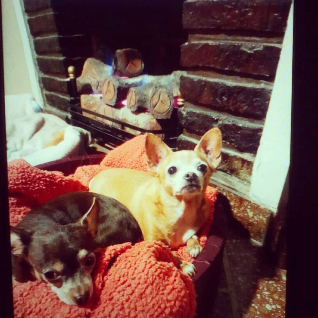 Post 1 by Roxana Tetanic on Instagram (carousel)