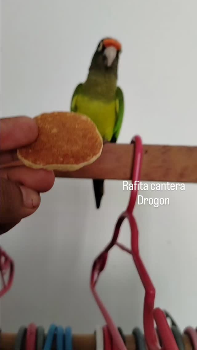 Post 5 by Fita G. Cantera on Instagram (video)