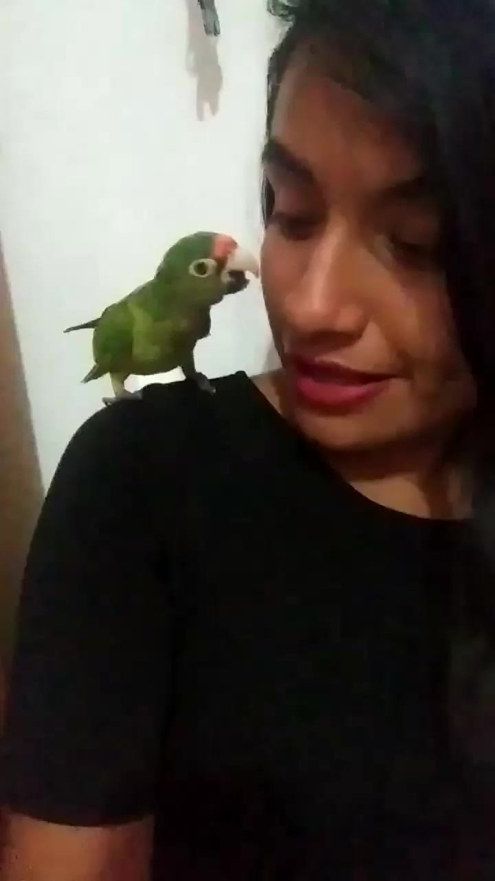 Post 2 by Fita G. Cantera on Instagram (video)