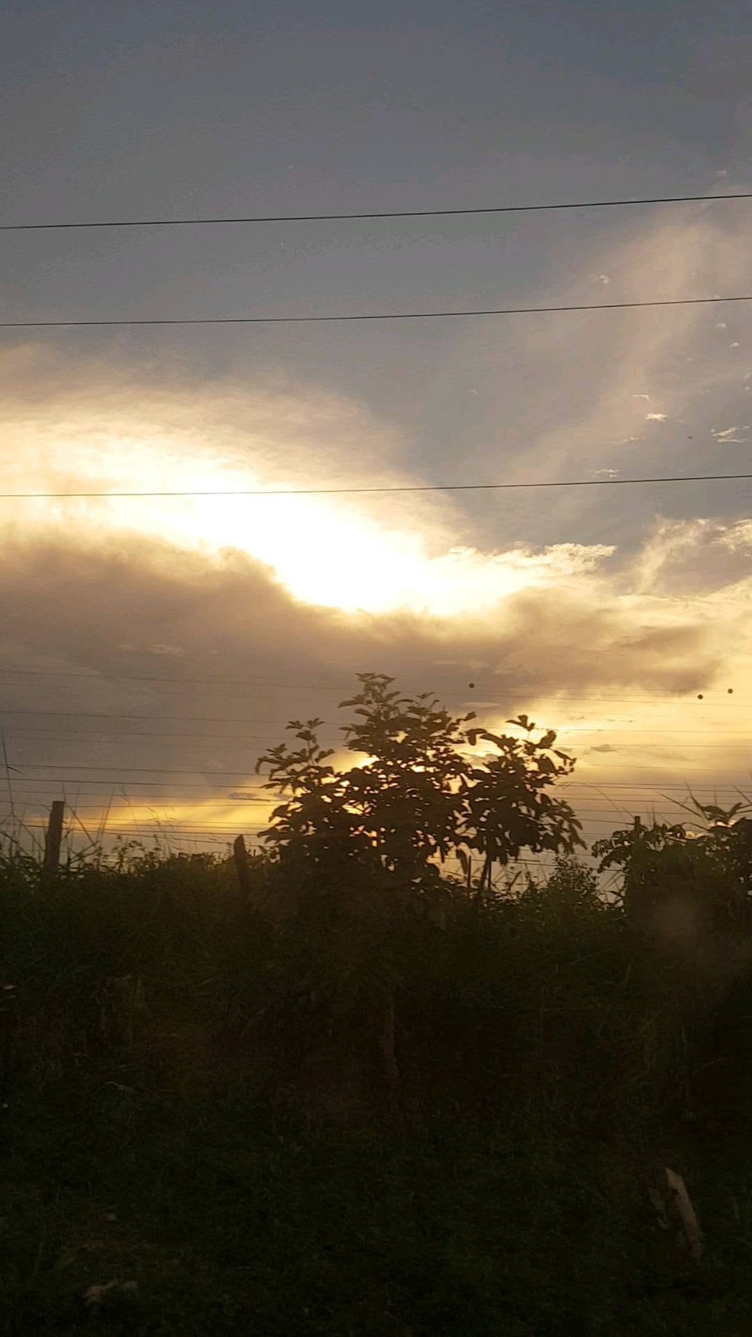 Post 6 by Pôr do Sol BR ® on Instagram (video)