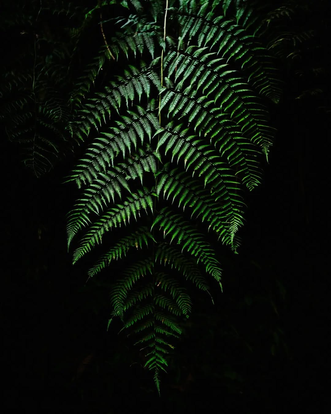 Post 5 by Leonardo Brasil on Instagram (carousel)