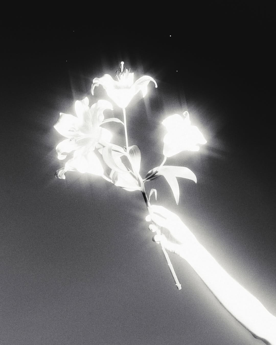 Post 2 by Dário Matos on Instagram (carousel)