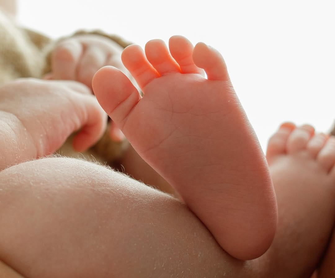 Post 1 by Sarah Oliveira l Fotógrafa de Newborn e Família 🌾 on Instagram (carousel)
