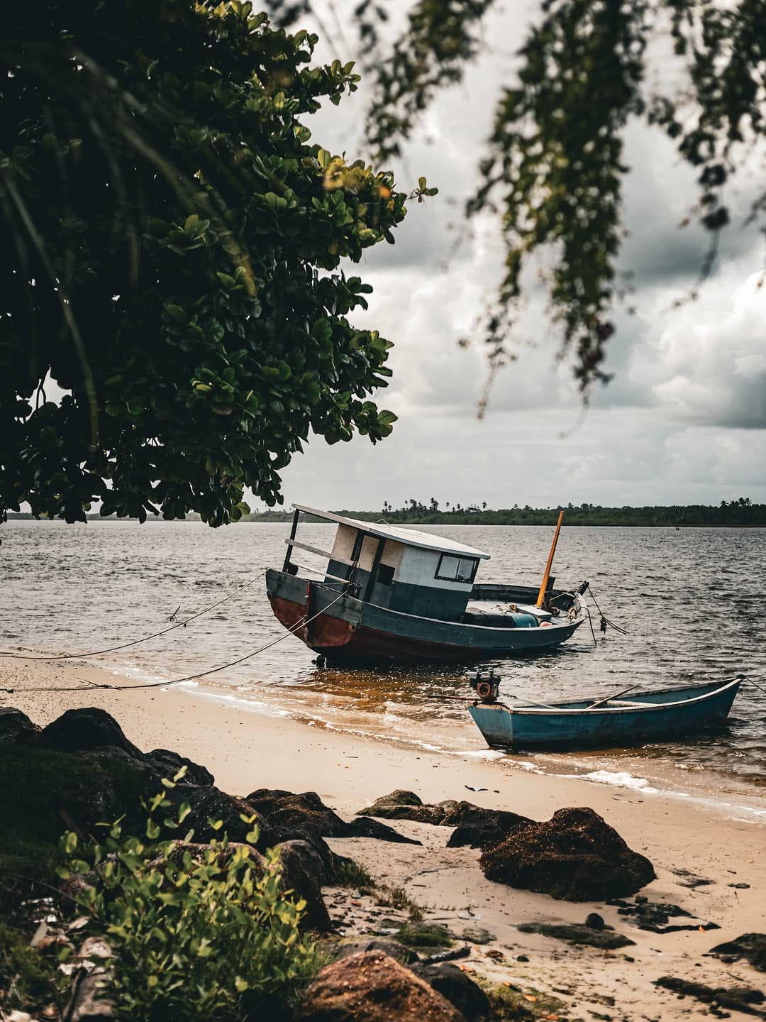 Post 5 by Pritty Reis on Instagram (image)