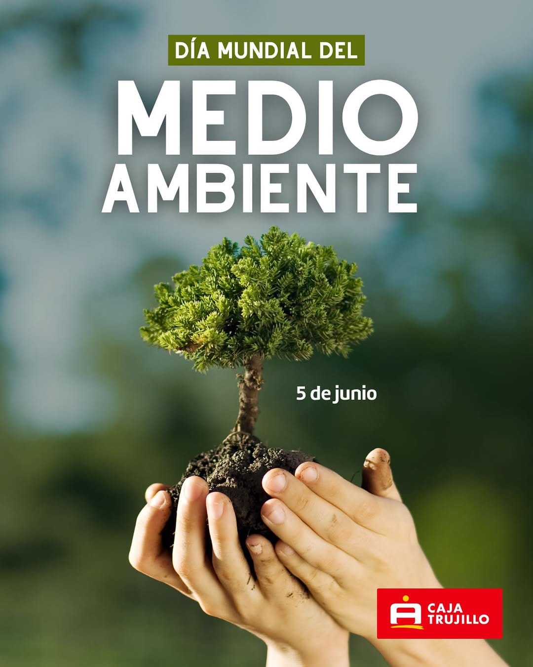 Post 3 by Caja Trujillo Oficial on Instagram (image)
