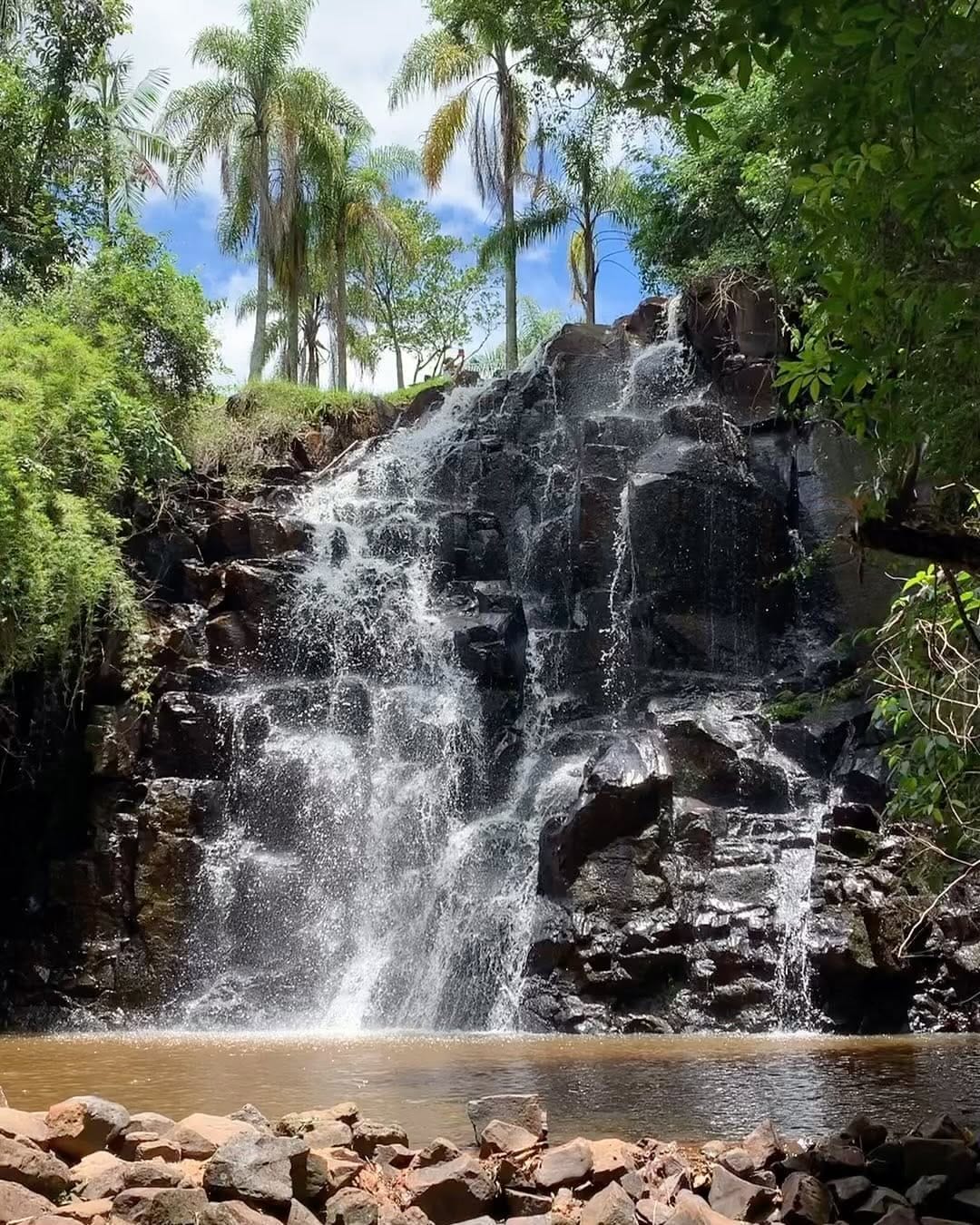 Post 7 by Alvanir Santos on Instagram (video)