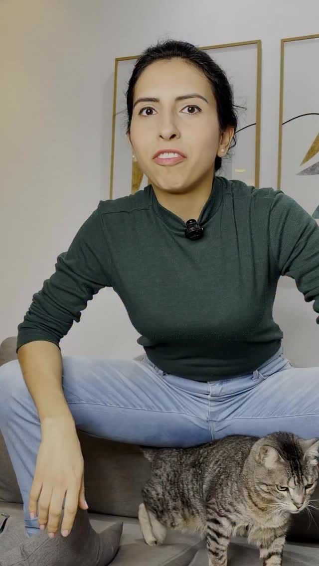 Post 4 by Ana Abelha - Educação Positiva on Instagram (video)