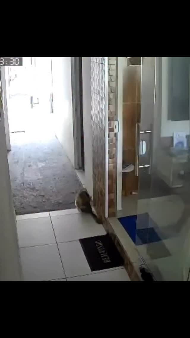 Post 7 by Geovanni Sobrinho 🦁 on Instagram (video)
