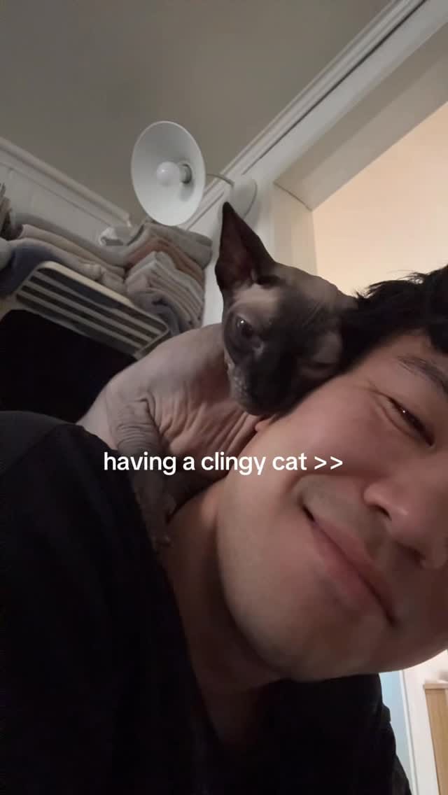 Post 7 by Andy Koh on Instagram (video)