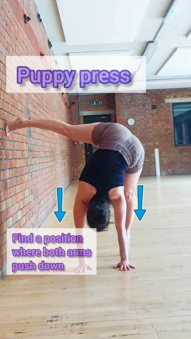 Post 3 by Natalie Reckert Handbalancing on Instagram (video)