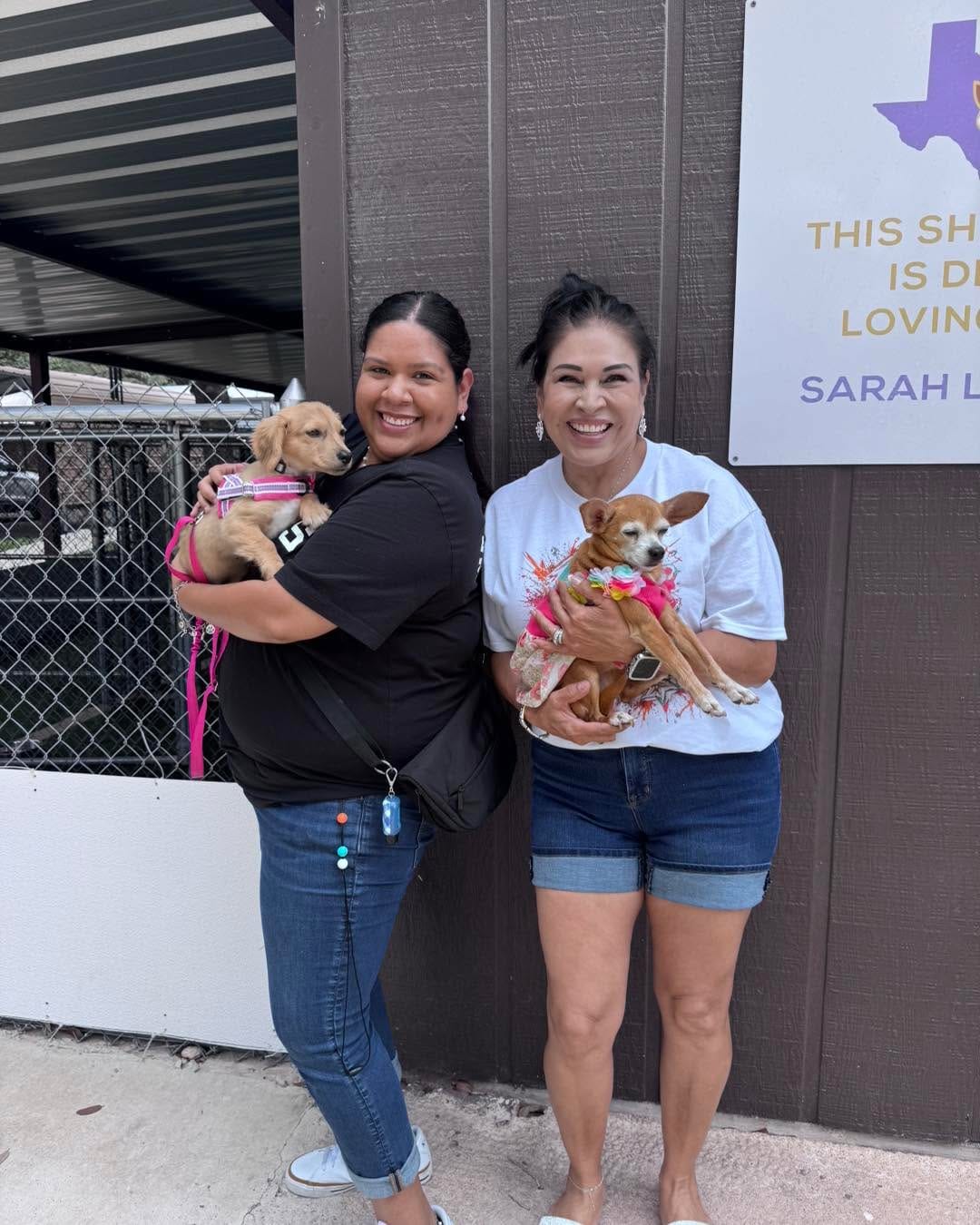 Post 10 by Texas Chihuahua Rescue on Instagram (carousel)