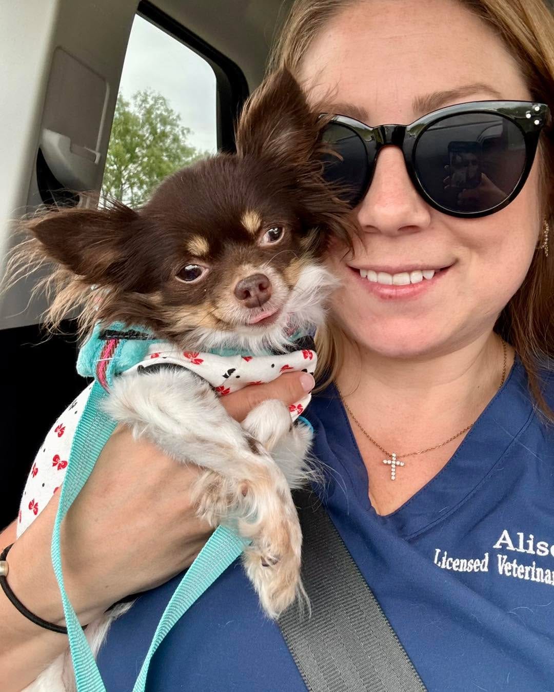 Post 6 by Texas Chihuahua Rescue on Instagram (image)