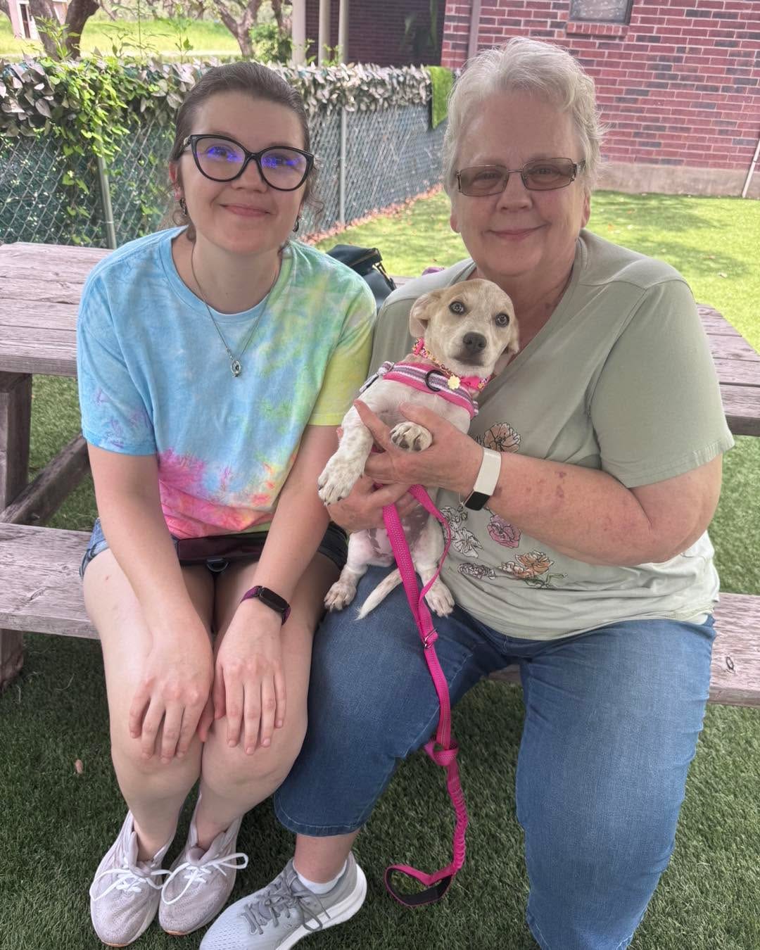 Post 7 by Texas Chihuahua Rescue on Instagram (carousel)