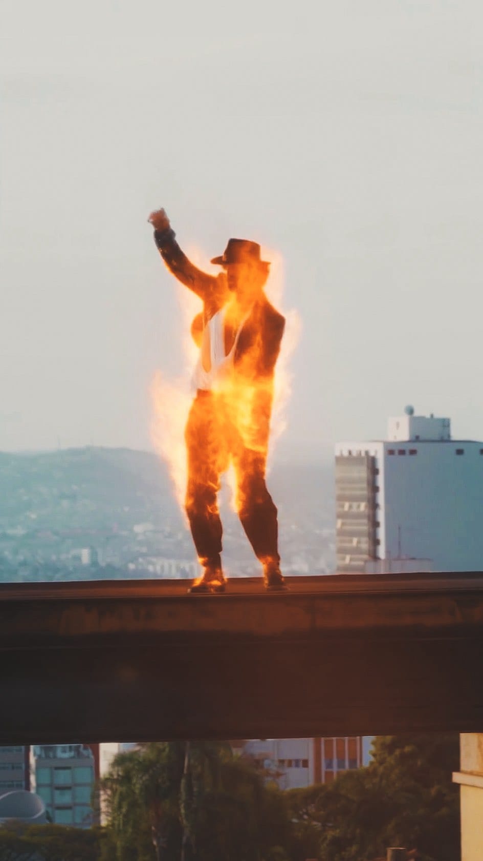 Post 10 by Alexandre Mayrink - Lelê on Instagram (video)