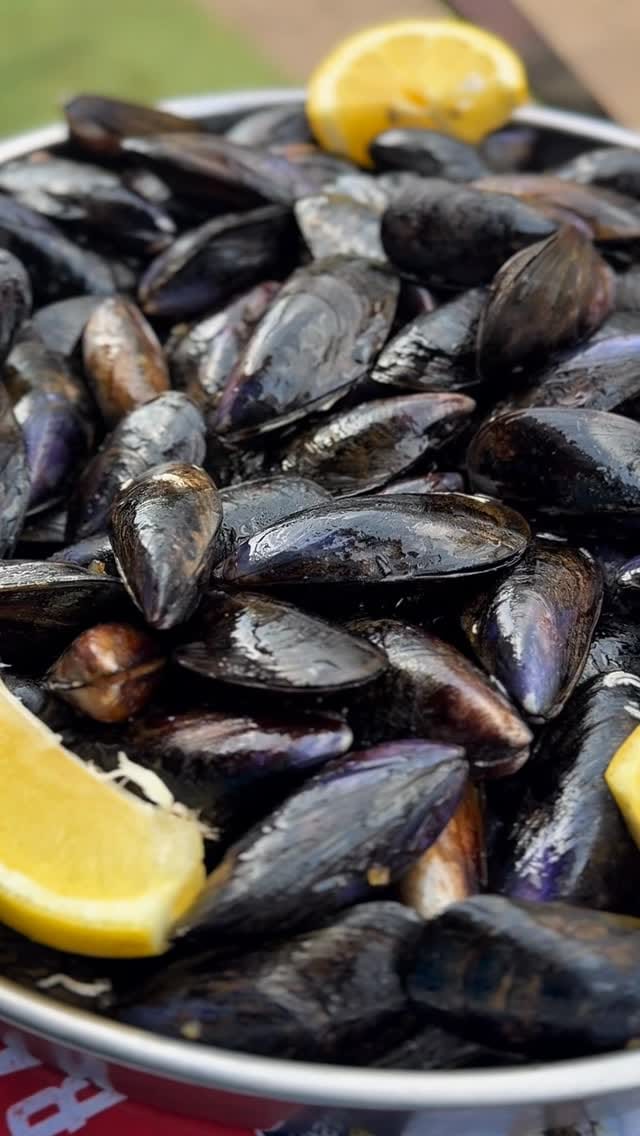 Post 6 by Balık Ekmek Londra on Instagram (video)
