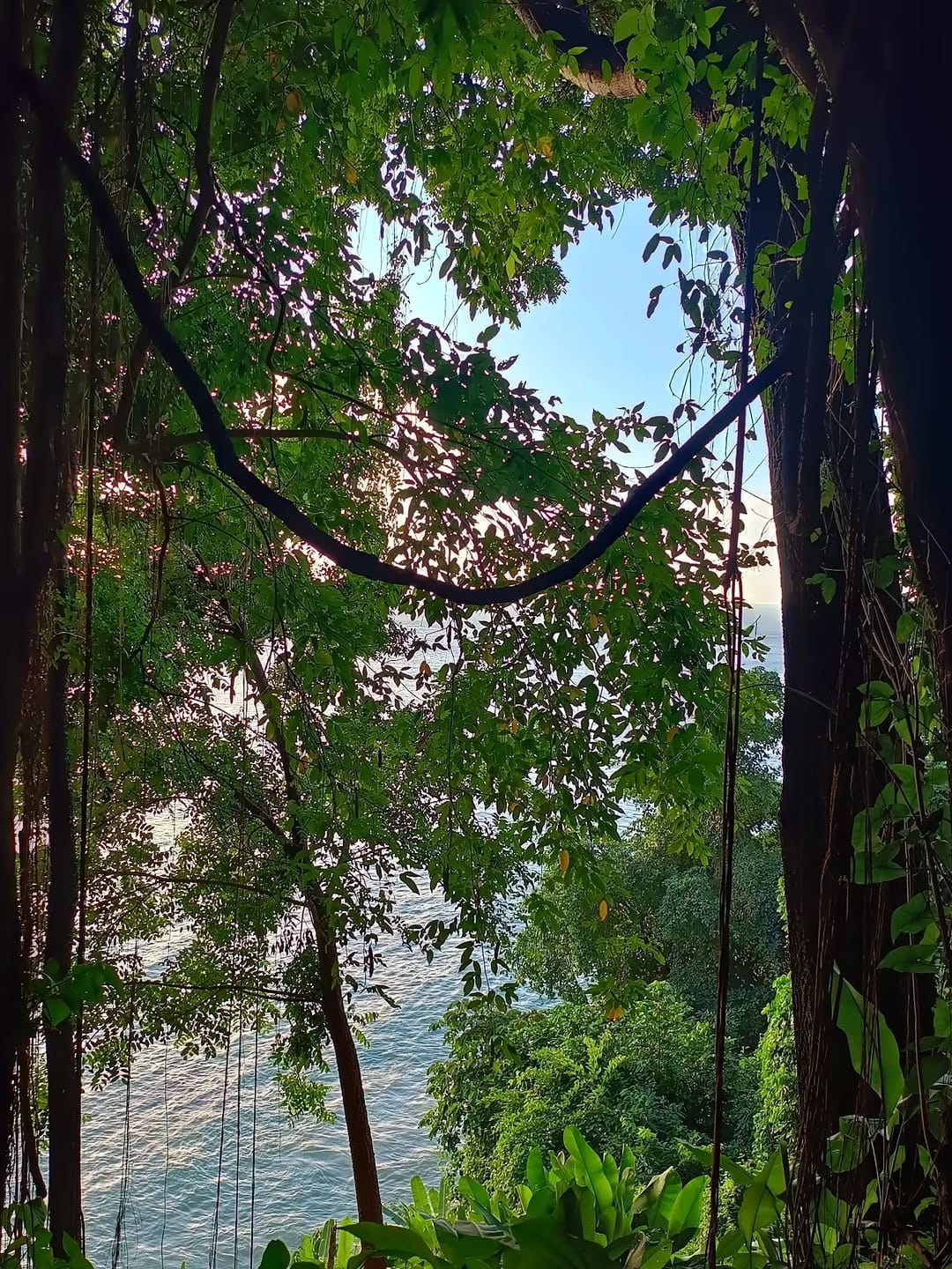 Post 1 by Rafael Dantas on Instagram (image)