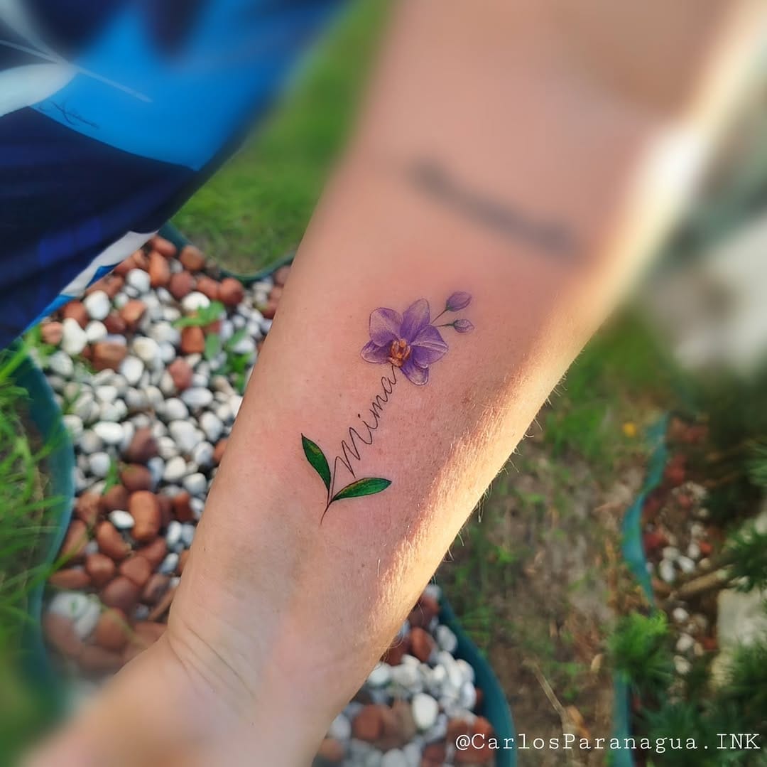 Post 7 by Carlos Paranaguá on Instagram (image)