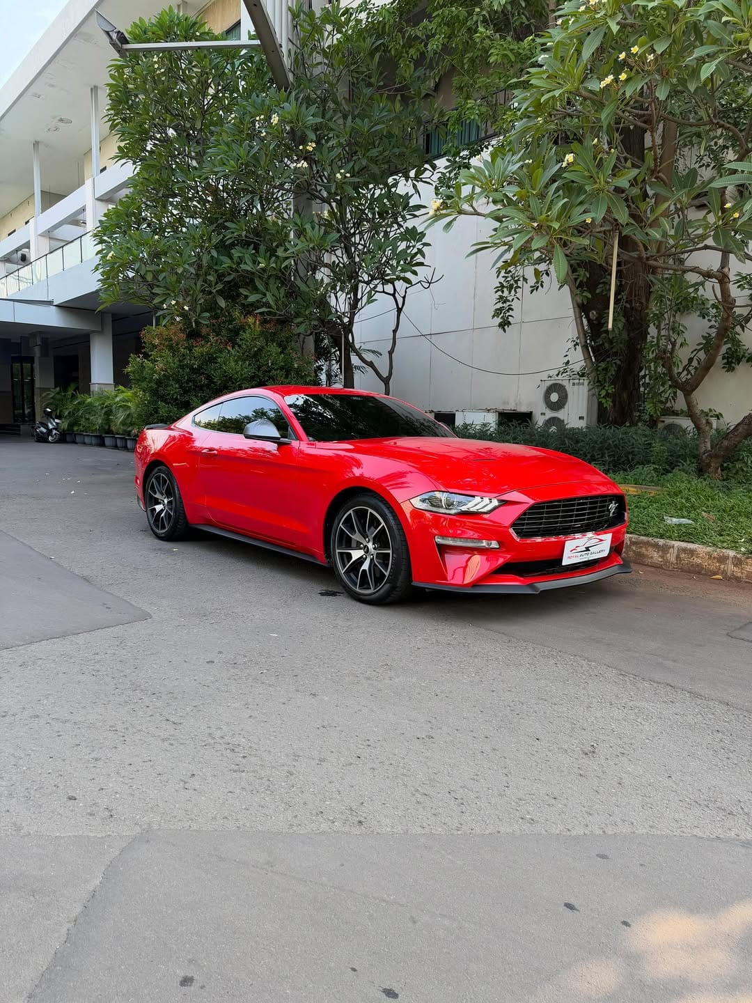 Post 5 by ROYAL AUTOGALLERY on Instagram (carousel)