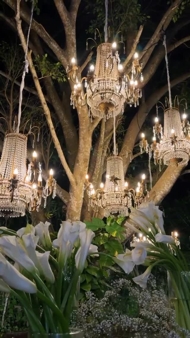 Post 3 by Decoracão/Casamentos/Festas on Instagram (video)