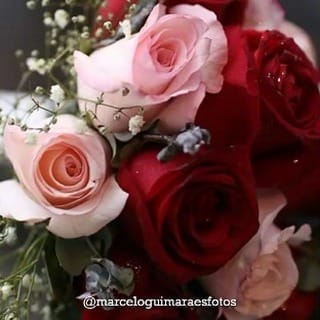 Post 5 by Marcelo Guimarães on Instagram (video)