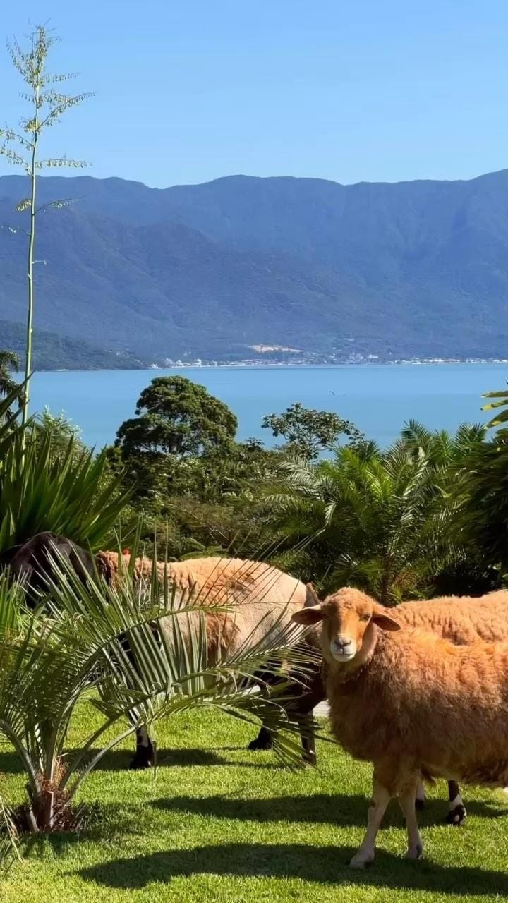 Post 9 by VILLA CASARÃO l CASAMENTOS on Instagram (video)