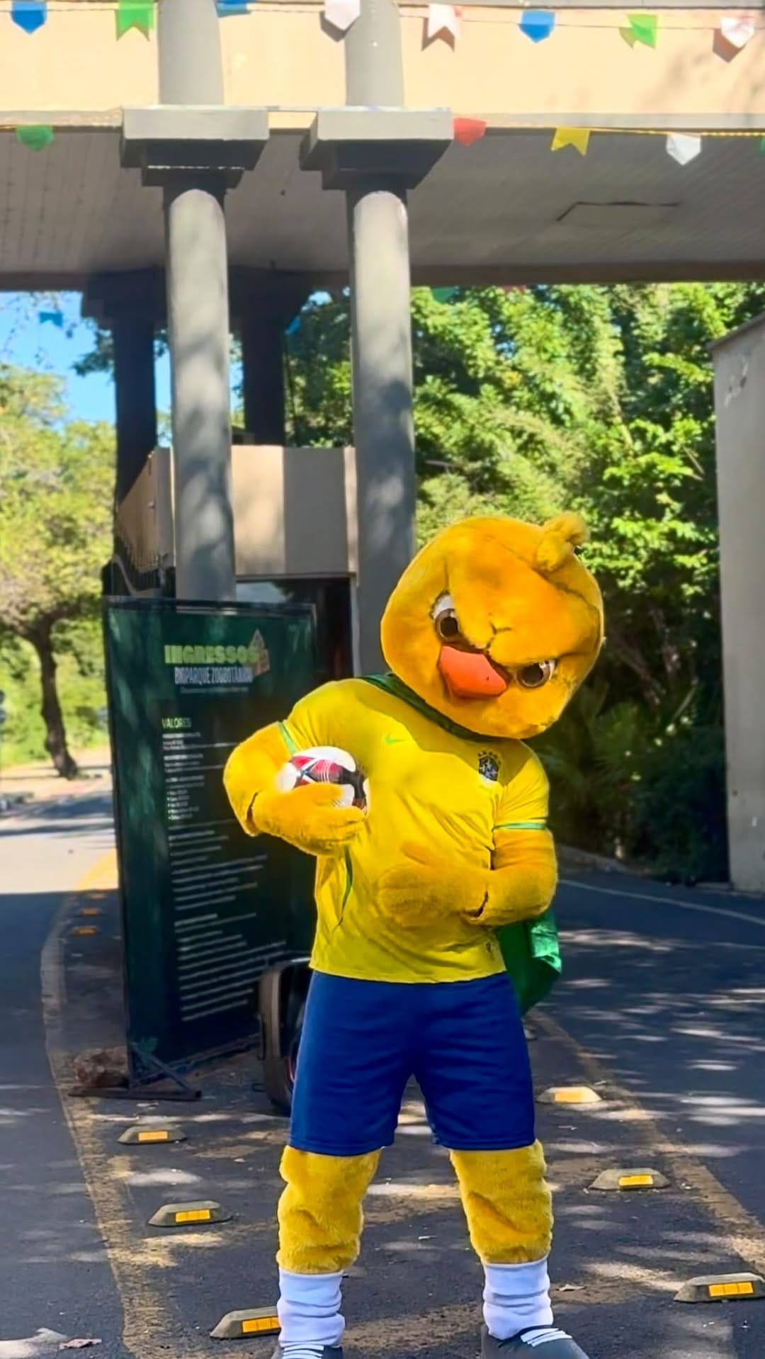 Post 5 by Animação infantil on Instagram (video)