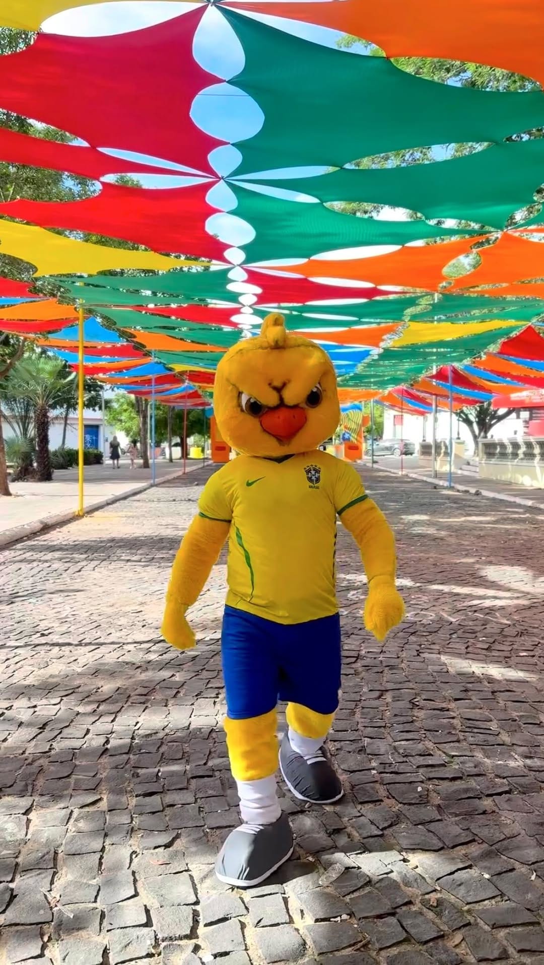 Post 9 by Animação infantil on Instagram (video)
