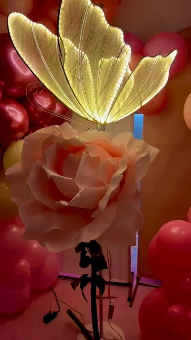 Post 7 by Monkey Festas on Instagram (video)