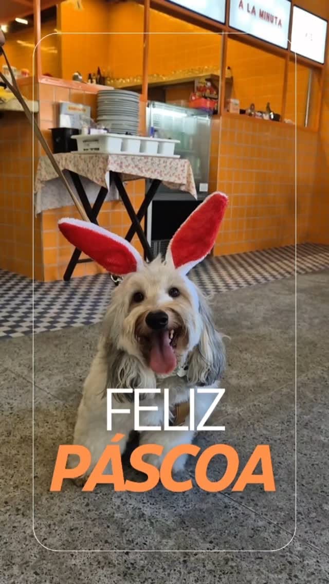 Post 10 by Lanchera do Ildo on Instagram (video)