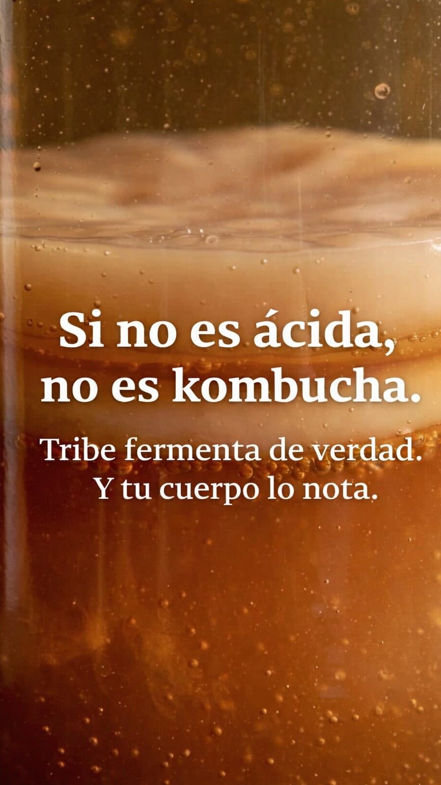 Post 2 by Kombucha y Kefir on Instagram (video)