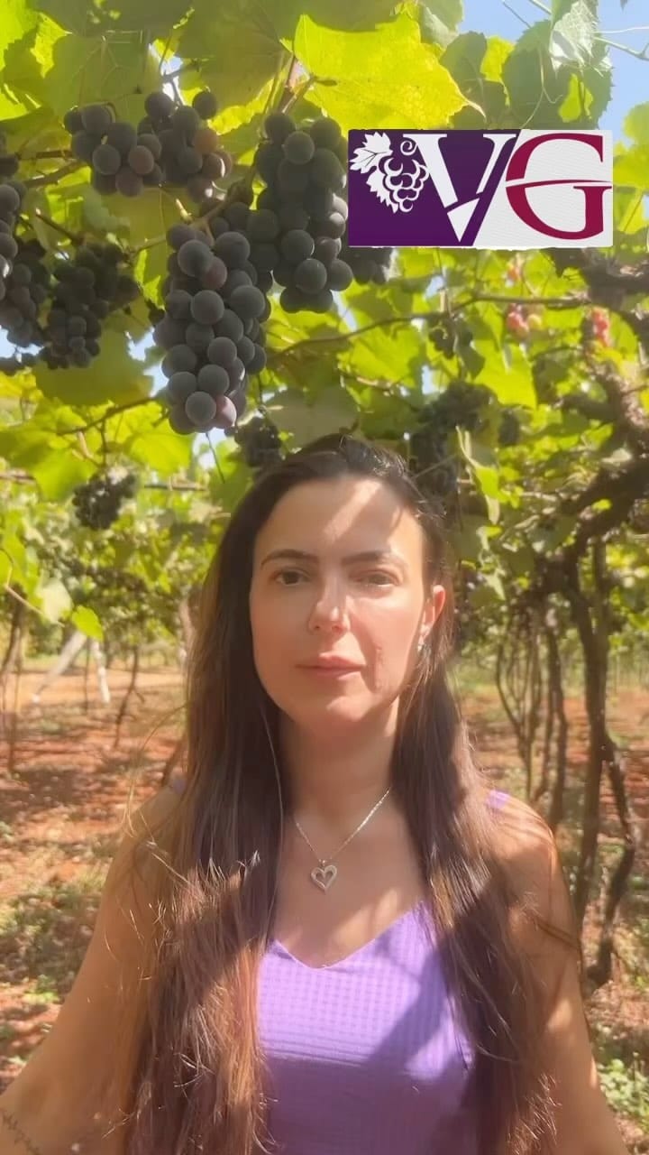 Post 3 by Vinicola Goiás on Instagram (video)